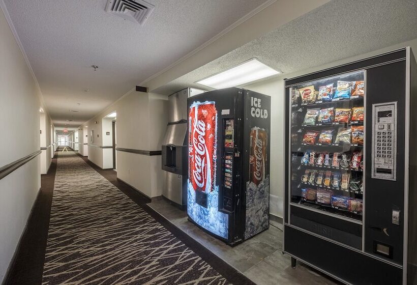 בית מלון כפרי Red Roof Inn Plus+ & Suites Opelika