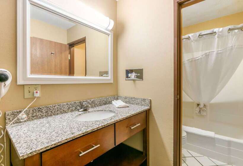 酒店 Rodeway Inn Rapid City