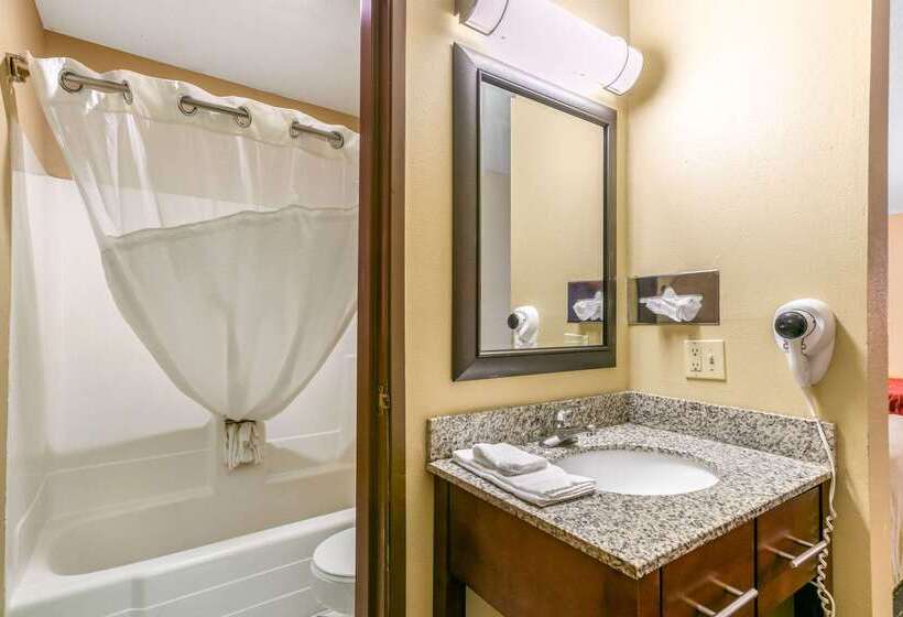 酒店 Rodeway Inn Rapid City