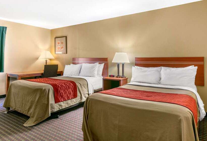 酒店 Rodeway Inn Rapid City