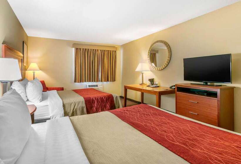 酒店 Rodeway Inn Rapid City