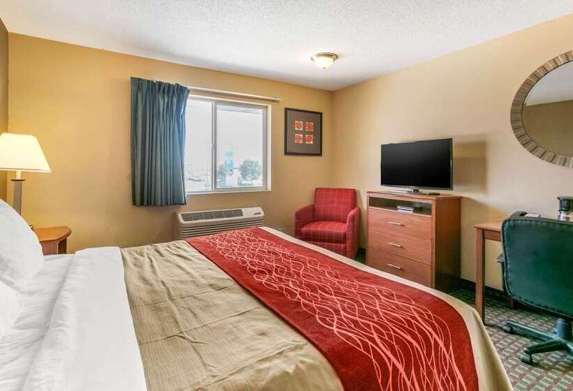 酒店 Rodeway Inn Rapid City