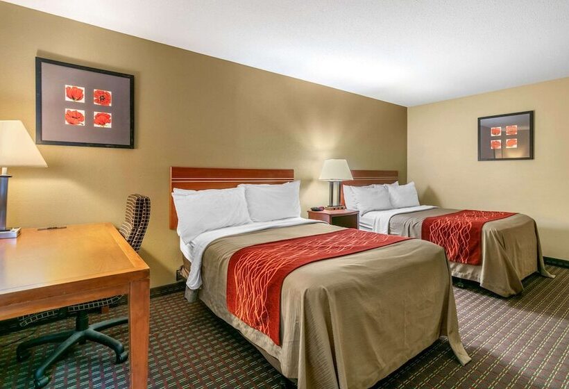 酒店 Rodeway Inn Rapid City