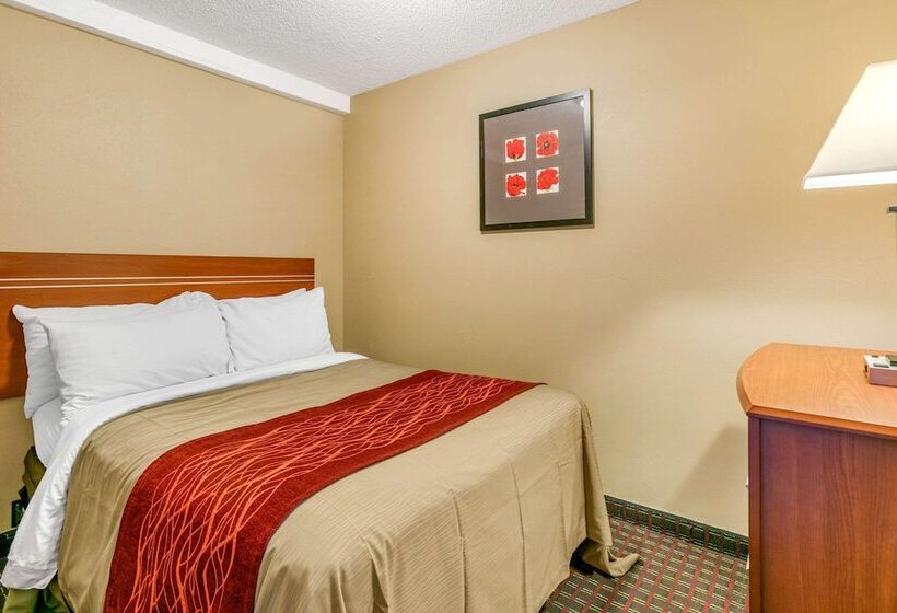 酒店 Rodeway Inn Rapid City