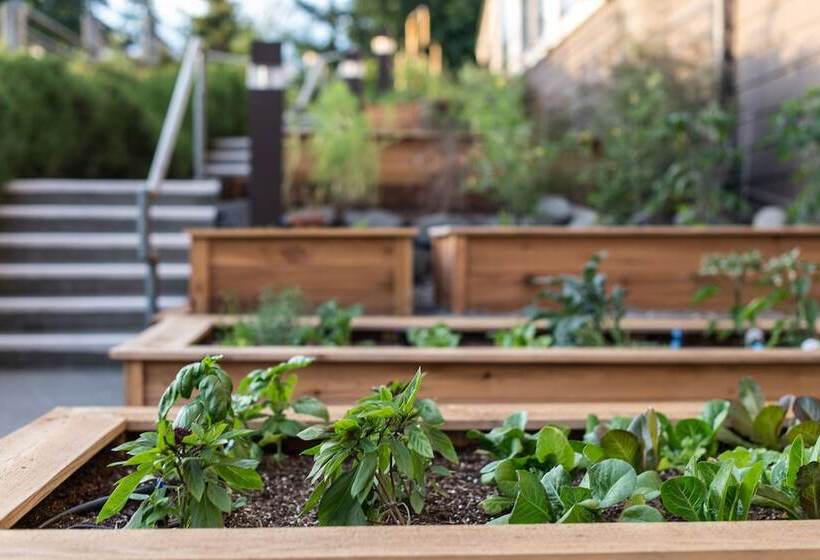 فندق Salish Lodge & Spa