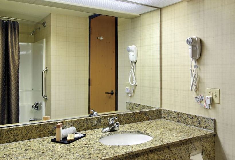 فندق Sam S Town Tunica