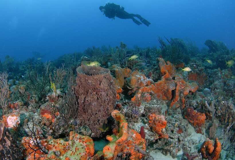 酒店 Sands Harbor Resort And Marina