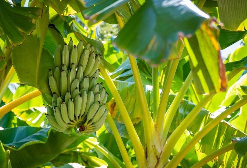 فندق Sanibel Moorings