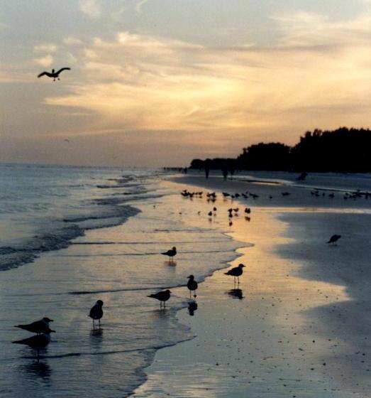 فندق Sanibel Moorings