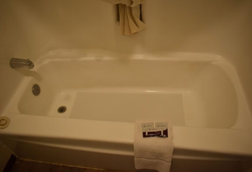 فندق Satellite Inn