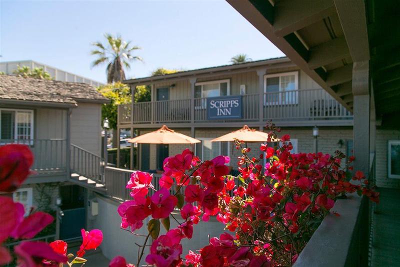 בית מלון כפרי Scripps Inn
