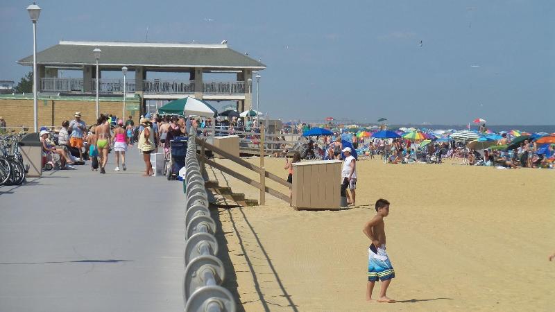 فندق Sea Girt Lodge