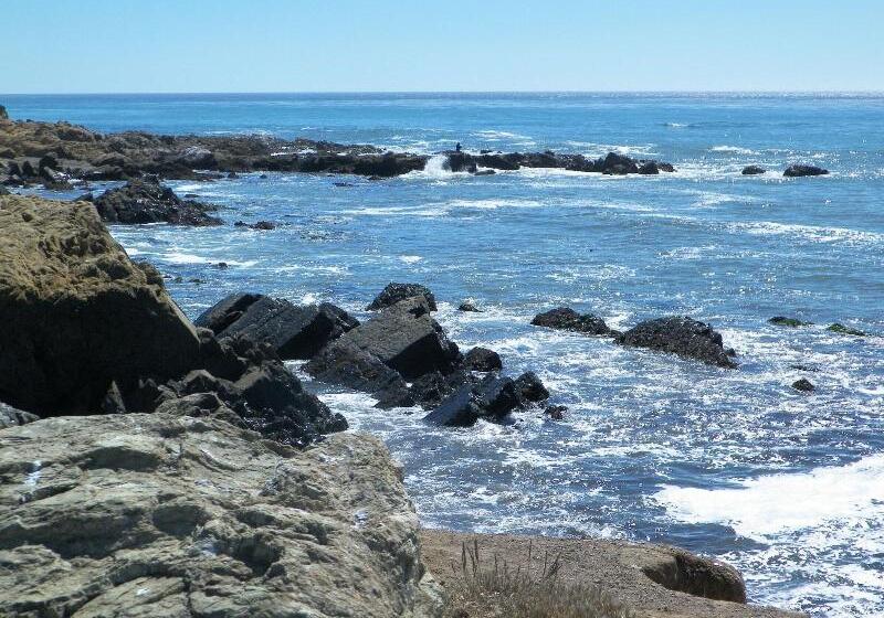 호텔 Sea Otter Inn