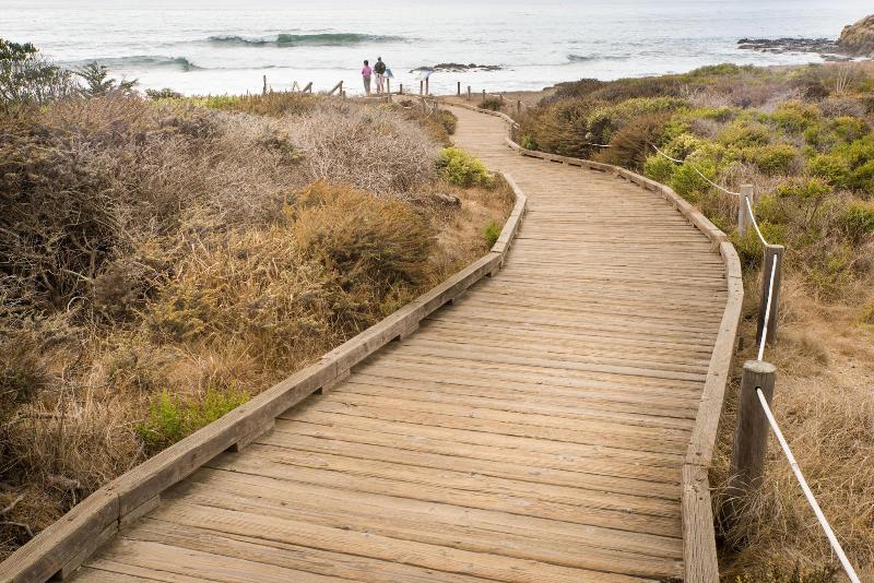 호텔 Sea Otter Inn