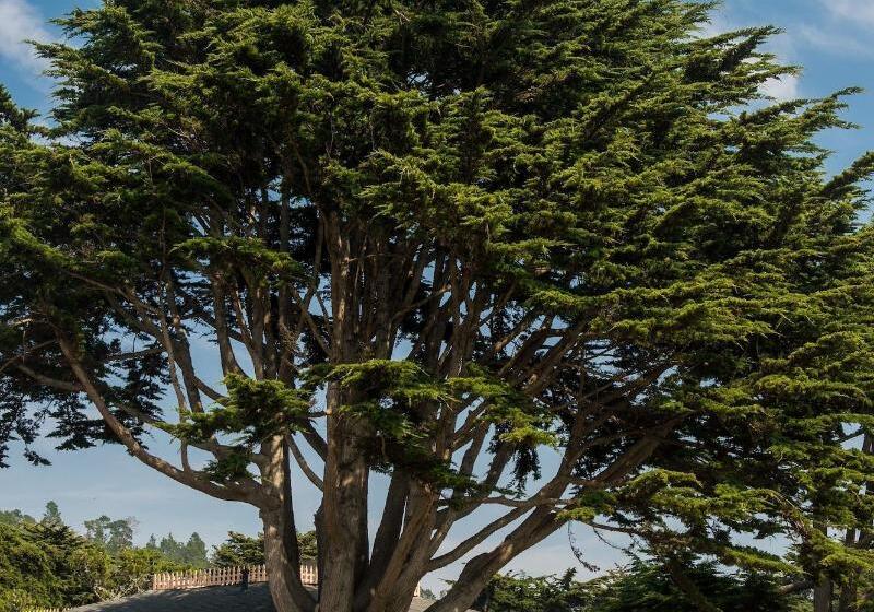 호텔 Sea Otter Inn