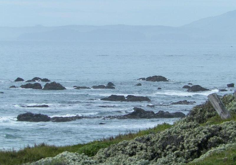 호텔 Sea Otter Inn