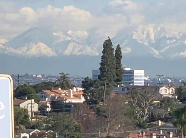 فندق Seahorse Inn