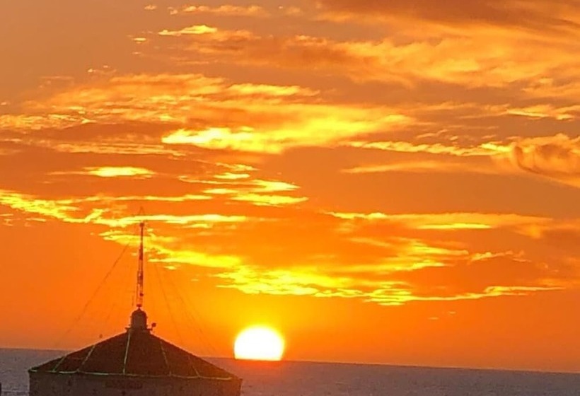 فندق Seahorse Inn