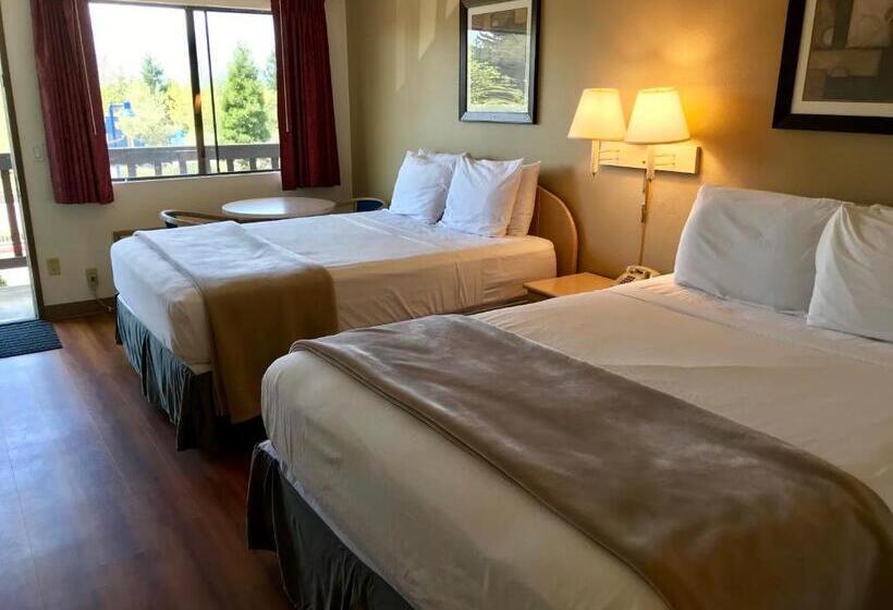 酒店 Seatac Airport Value Inn