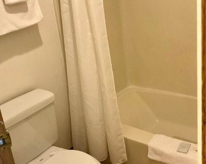 酒店 Seatac Airport Value Inn