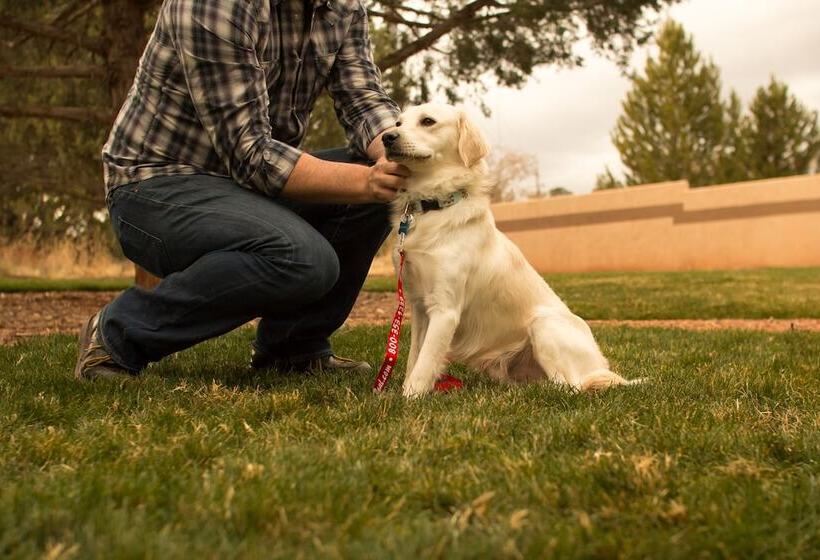 هتل Sedona Real Inn & Suites