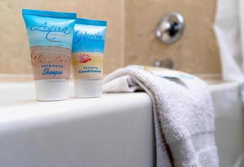 בית מלון כפרי Sevilla Inn Kissimmee Near Disney