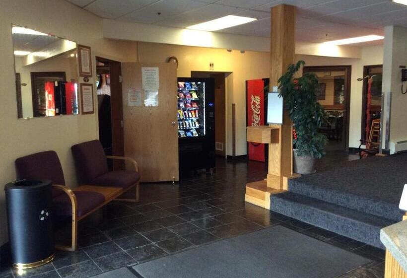 فندق Shelikof Lodge