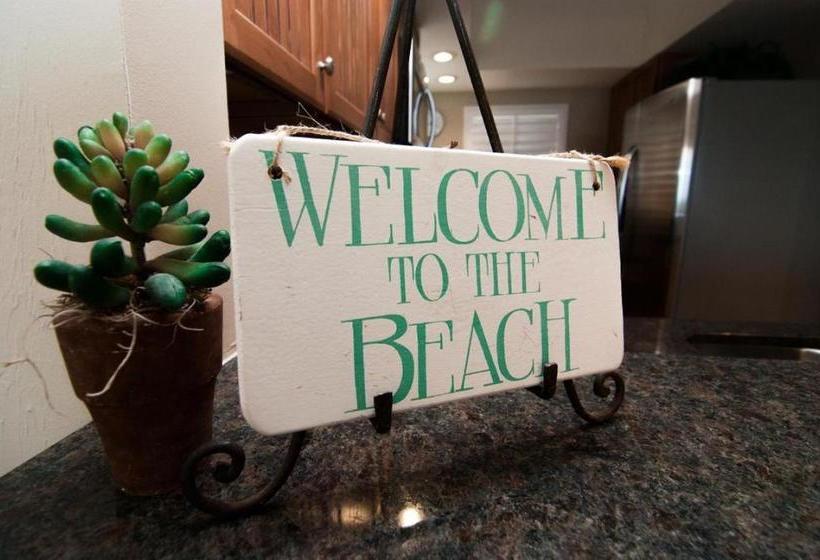 Shell Island Beach Club #7b