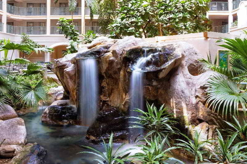 酒店 Sheraton Suites Fort Lauderdale At Cypress Creek