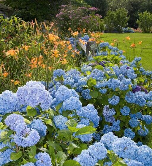 فندق Ship S Knees Inn