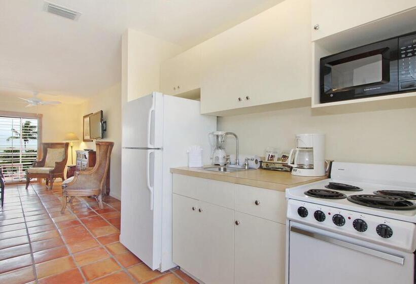 فندق Song Of The Sea