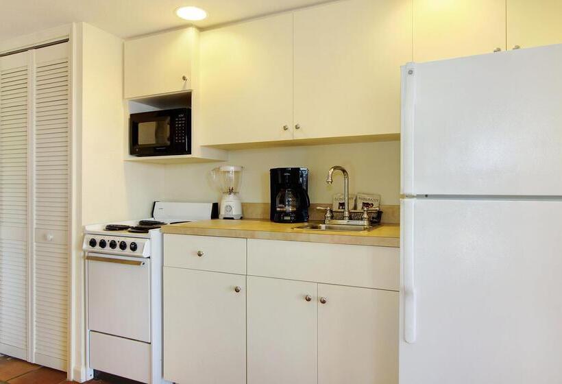 فندق Song Of The Sea