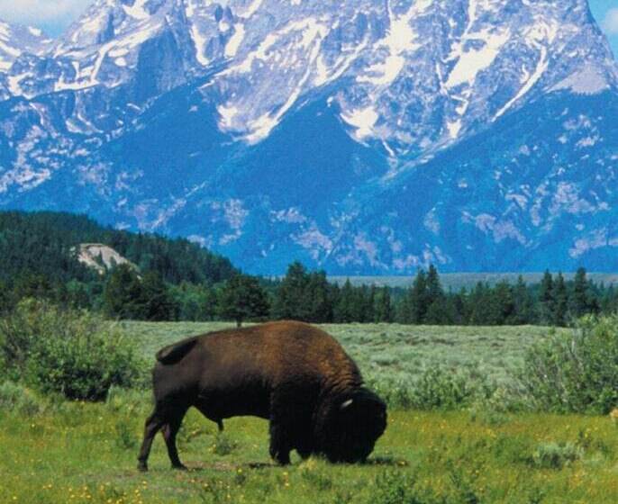 בית מלון כפרי The Rusty Parrot Lodge And Spa