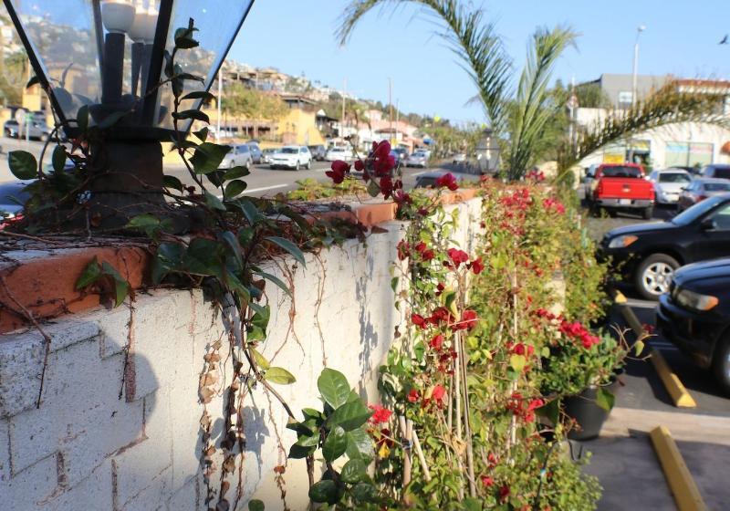 Мотель Laguna Cove