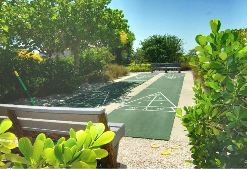 Shell Island Beach Club #7b