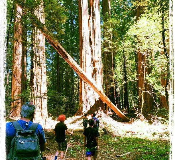 Sherwood Forest Motel