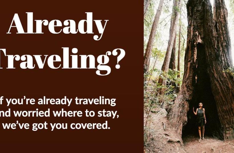 Sherwood Forest Motel