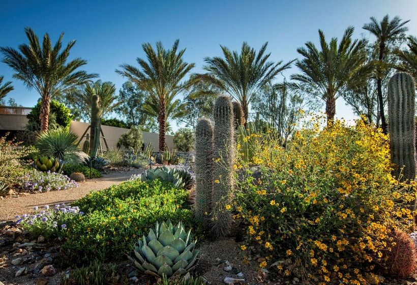 The Scottsdale Resort & Spa, Curio Collection By Hilton