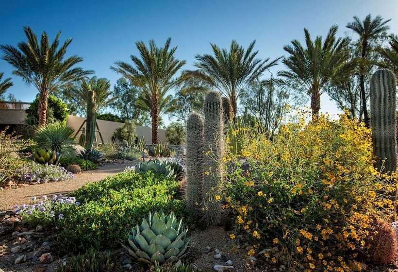 The Scottsdale Resort & Spa, Curio Collection By Hilton