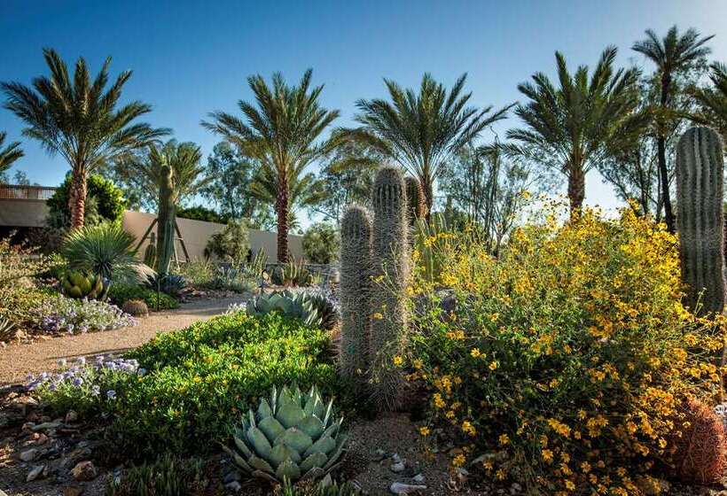 The Scottsdale Resort & Spa, Curio Collection By Hilton