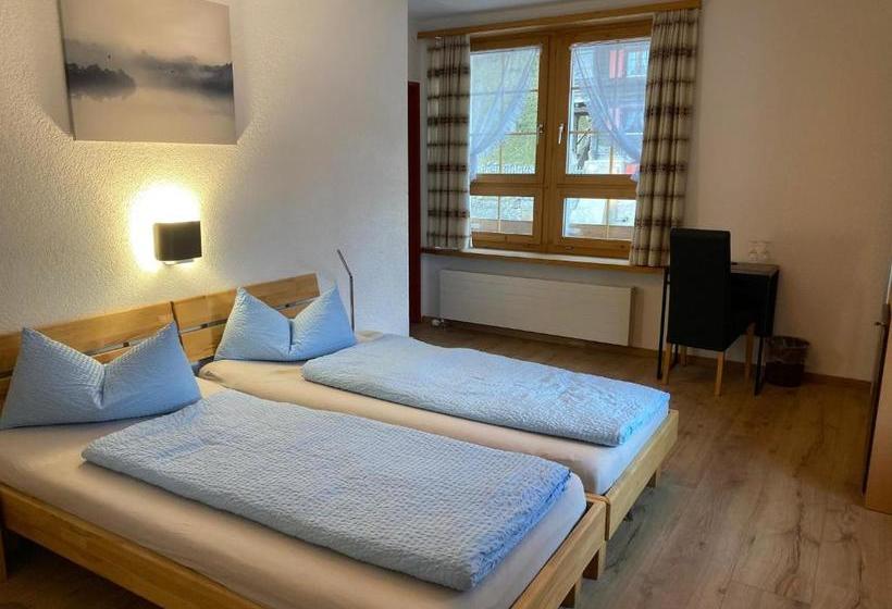 הוסטל Gasthaus Edelweiss