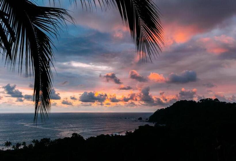 酒店 Igloo Beach Lodge