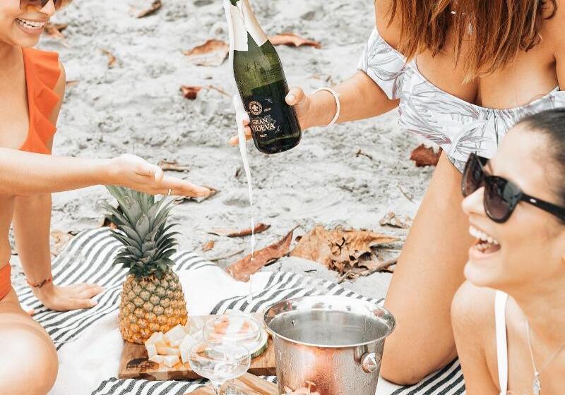 酒店 Igloo Beach Lodge