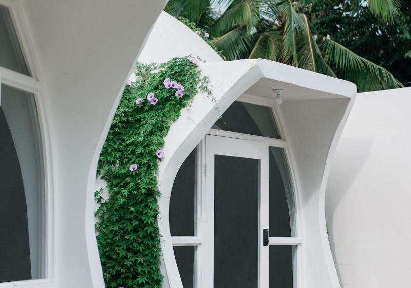 酒店 Igloo Beach Lodge