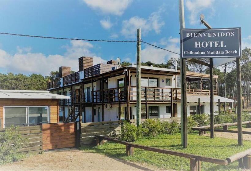 ホテル Mandala Beach Chihuahua Naturista Nudista Opcional Exclusivo Adultos