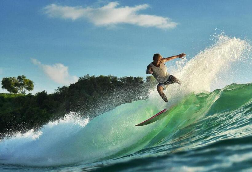 酒店 Sea Star Bali