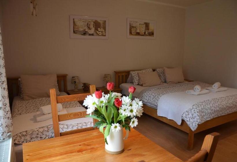 펜션 Penzion Pohoda Sokolov