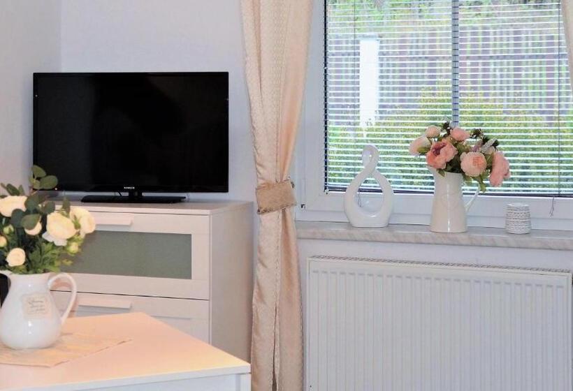 펜션 Penzion Pohoda Sokolov