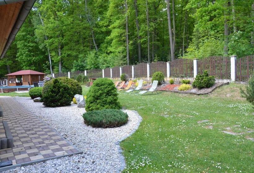 펜션 Penzion Pohoda Sokolov