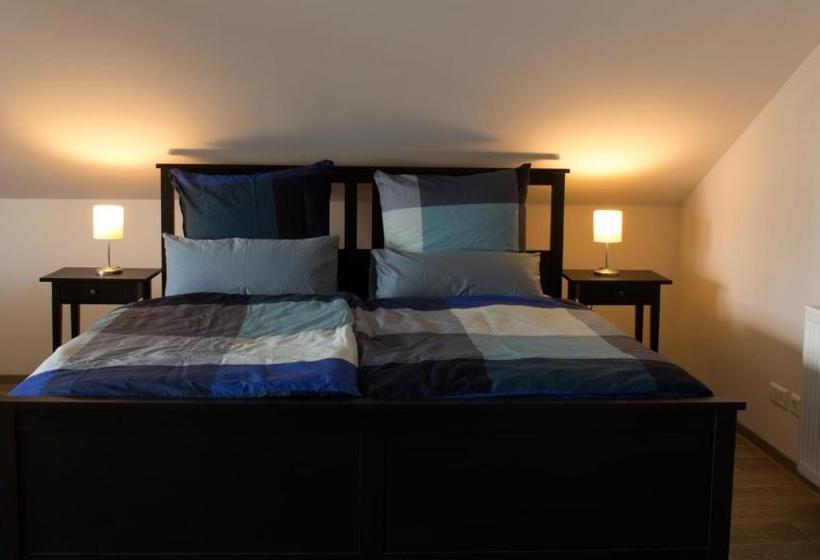 ペンション Ringelnatz & Lichtwer Ferienwohnung Wurzen